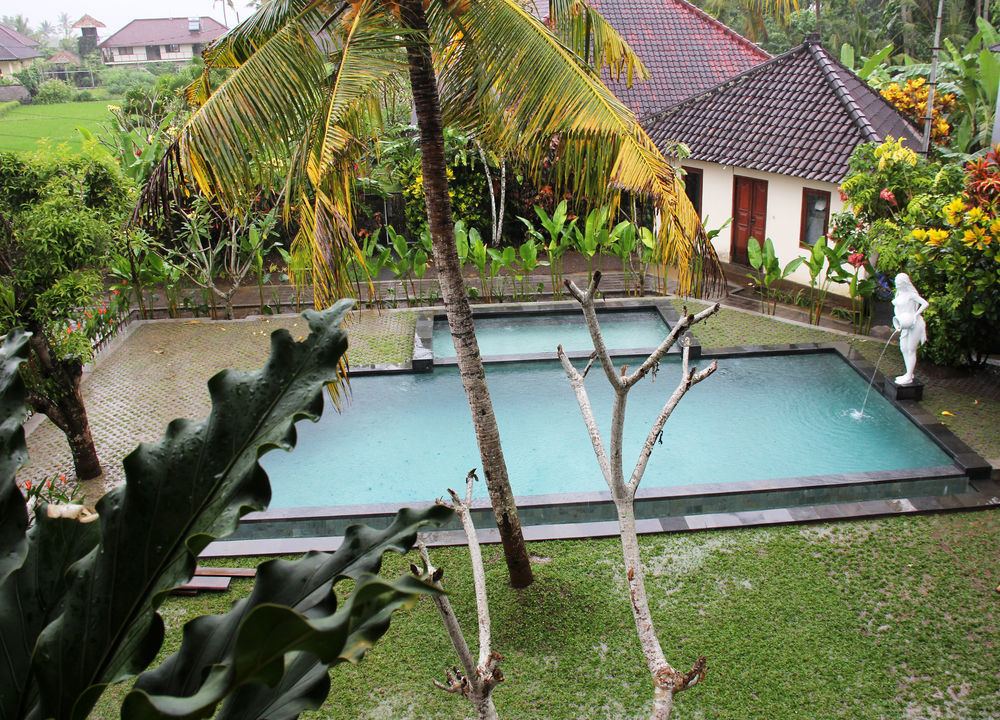Nyoman Sandi Ubud